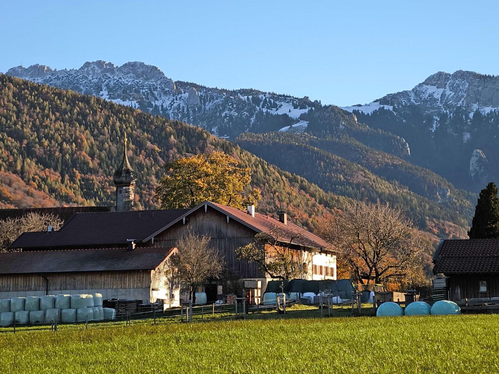 Farm stay Bauernhof Geigerhof Aschau im Chiemgau
